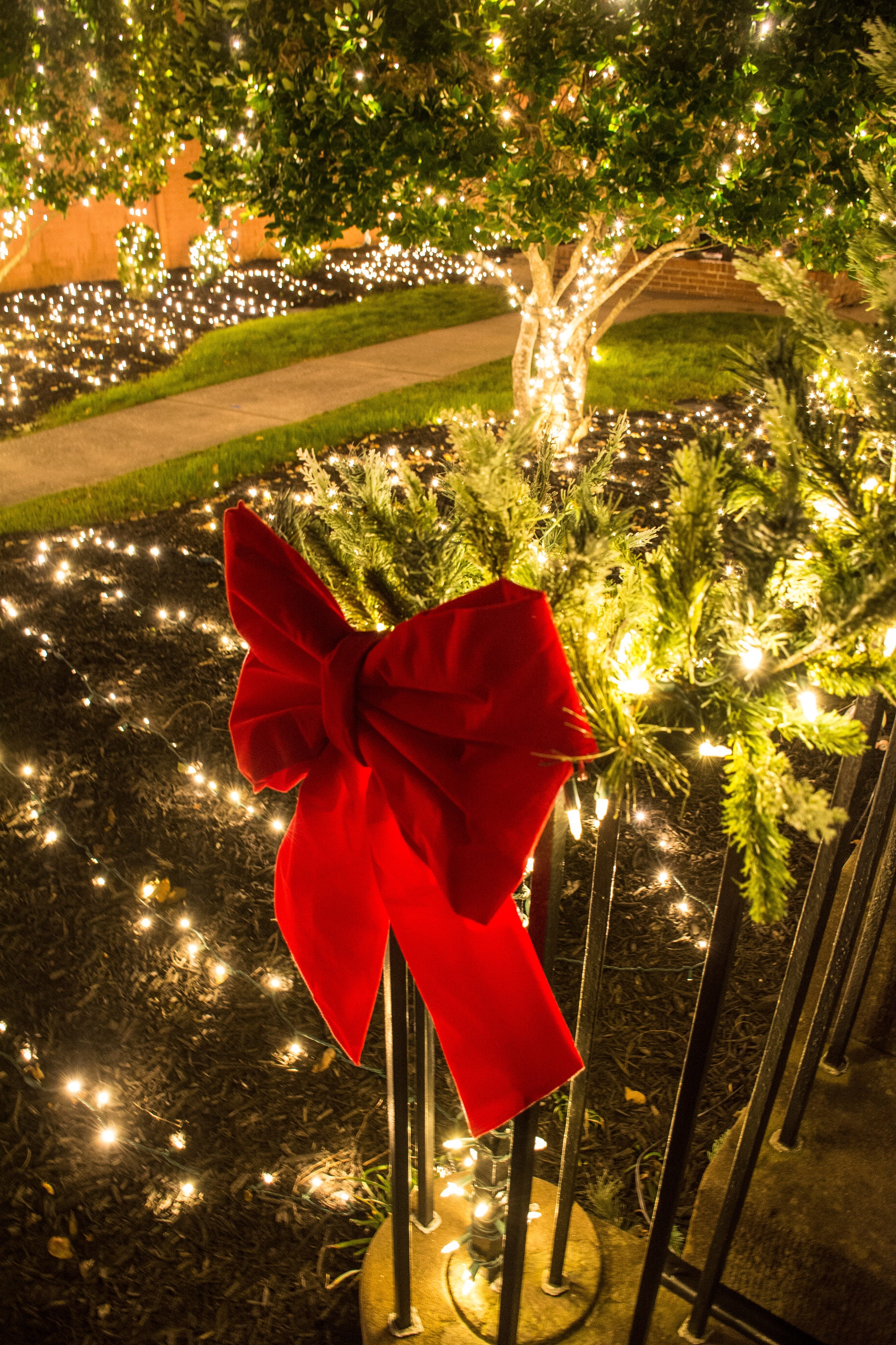 Christmas Ribbon Lights Print Etsy