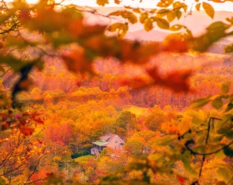 Photo Art Beautiful Autumn Mountain Leaves Color Print