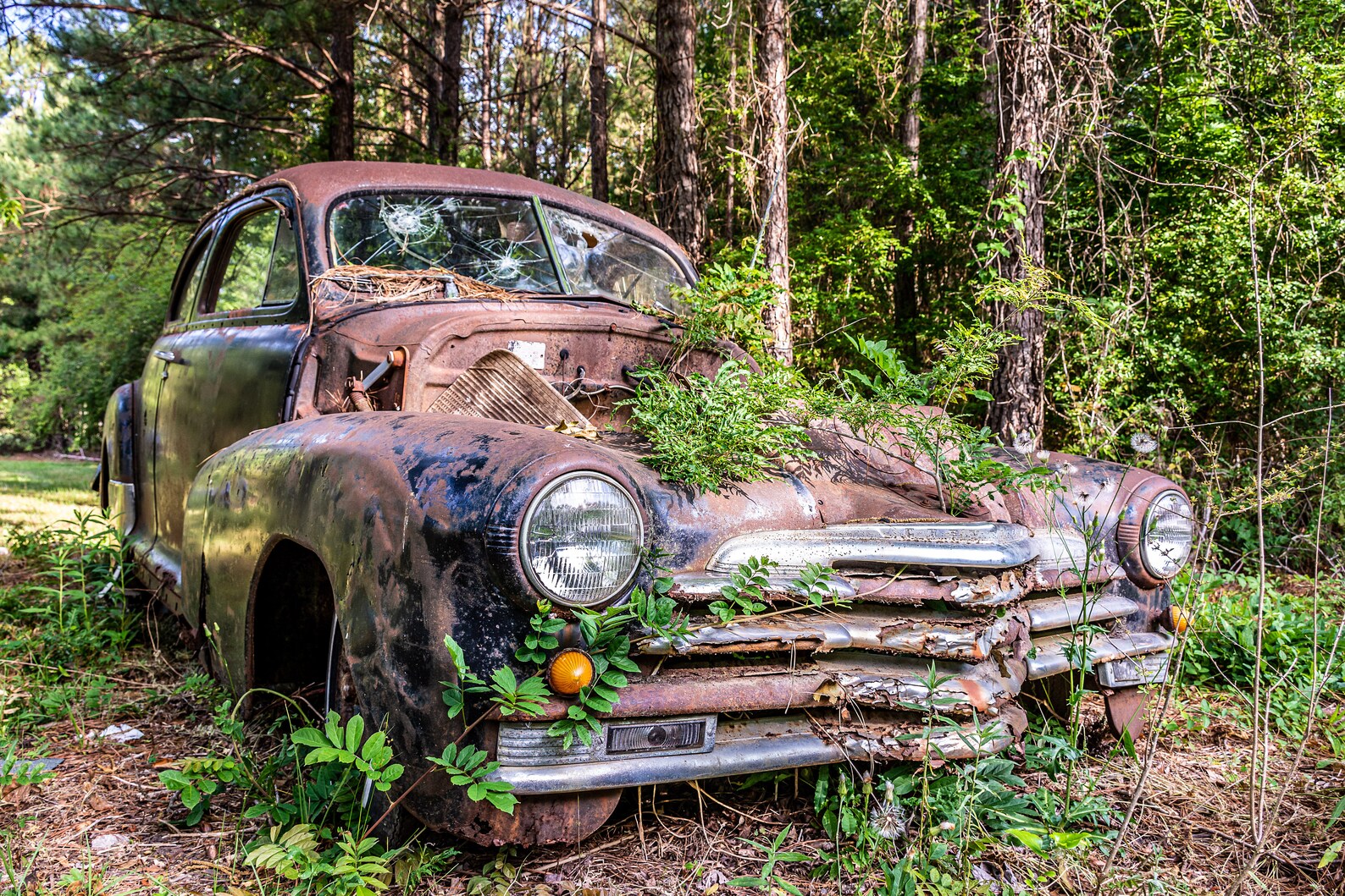 Classic Car Conway South Carolina Photo Art Print Etsy.de