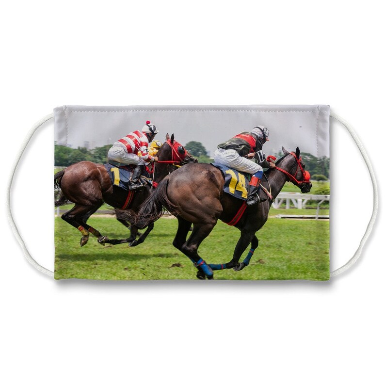 Horse racing washable mask with activated carbon filter Etsy