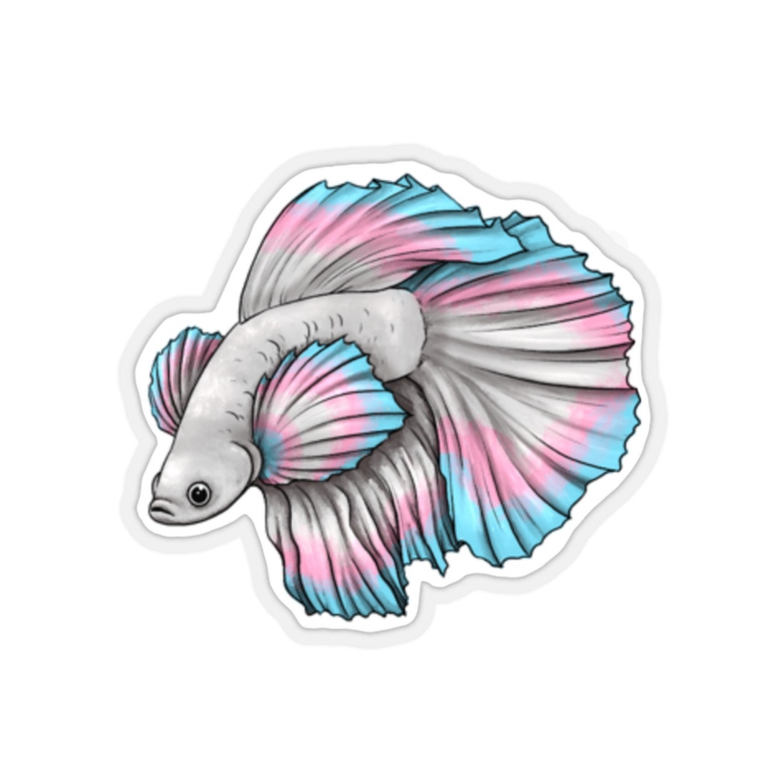 Trans Pride Betta Fish Sticker Queer Flag Pet Animal Print Gay LGBTQ ...