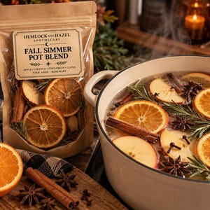 May include: A brown paper pouch labeled Hemlock and Hazel Apothecary Fall Simmer Pot Blend containing dried apple, orange, cinnamon, clove, star anise, and rosemary, next to a pot filled with the same ingredients simmering in water.