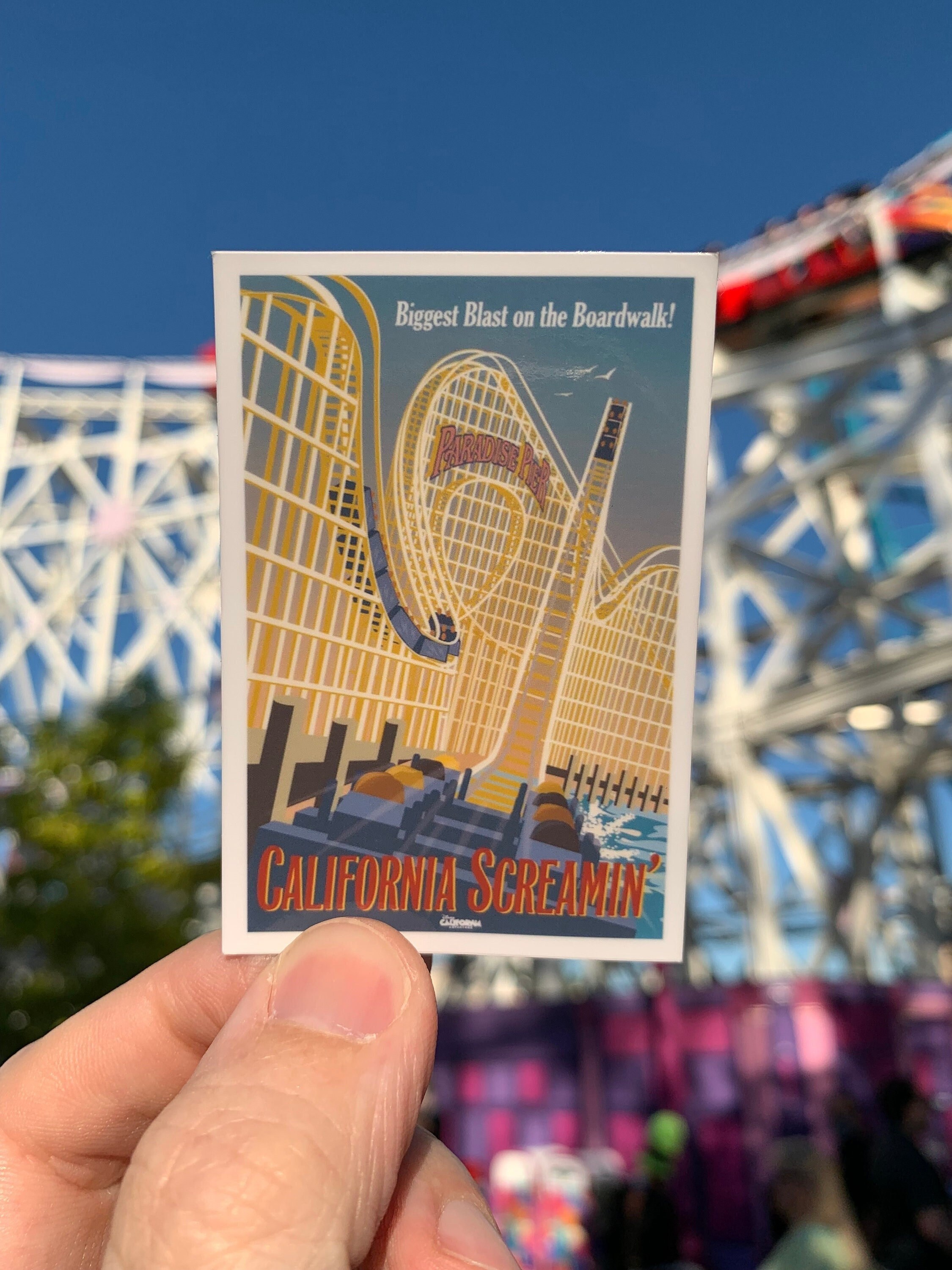 USA製 Disney california screamin' スウェット California Screamin - Etsy