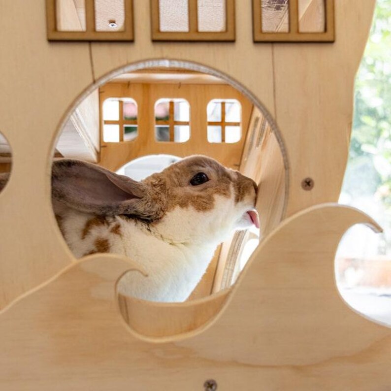 May include: A brown and white rabbit with long ears is sticking its tongue out of its mouth. The rabbit is inside a wooden playhouse with a window and a wave-shaped opening.