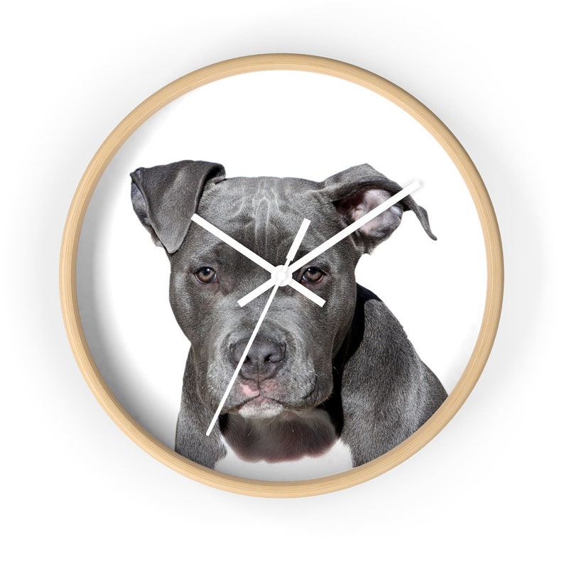 pitbull lover gift ideas