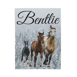 Personalized Horse Blanket, Horse Decor, Horse Love, Horse Blanket for Girls, Horse Blanket Pattern for Boys, Horse Lover Gift, Custom