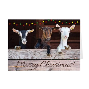Christmas Cards Goats, Holiday Cards, Goats, Greeting Cards, Goat Christmas Cards, Cute Cards, Seasonal Cards, Funny Cards, Goat Cards Packs