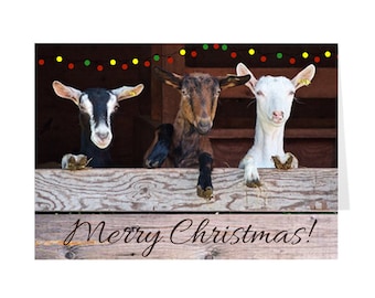 Christmas Cards Goats, Holiday Cards, Goats, Greeting Cards, Goat Christmas Cards, Cute Cards, Seasonal Cards, Funny Cards, Goat Cards Packs