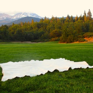 May include: A white, irregularly shaped blanket lies on a vibrant green lawn. In the background, a mountain range with snow-capped peaks is visible, along with a lush forest under a cloudy sky. The scene evokes a sense of tranquility.