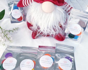 Scented Vacuum Freshener Discs: Multicolored Felt Pods, Pack of 6