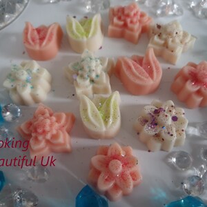May include: Assortment of 12 small wax melts in various flower shapes. The melts are in shades of pink, white, and green with glitter accents.