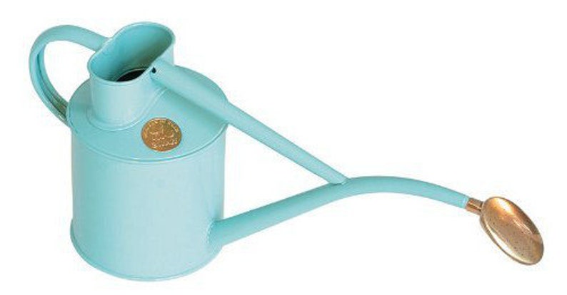 Haws Room Watering Can Watering Can Light Blue with Nickel Plant Sprayer in Gift Set The Rowley Ripple Two Pint Duck Egg Blue image 2