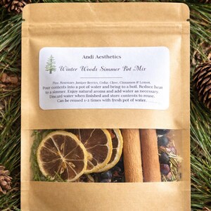 Può includere: Un sacchetto di carta kraft con una finestra trasparente, riempito con fette di limone essiccate, bastoncini di cannella ed erbe. L'etichetta recita "Winter Woods Simmer Pot Mix". Lo sfondo presenta aghi di pino e pigne.
