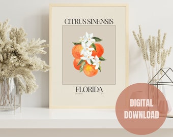 Florida State Flower Digital Print, Florida Orange Blossom Poster, Neutral Wall Art, Boho Home Decor, Botanical, Watercolor Floral Print