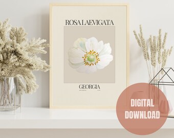 Georgia State Flower Digital Print, Georgia Cherokee Rose Poster, Neutral Wall Art, Boho Home Decor, Botanical, Watercolor Floral Print