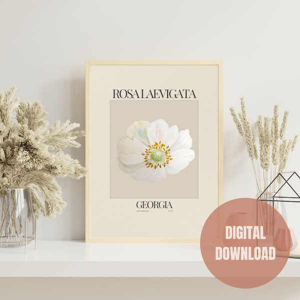 Georgia State Flower Digital Print, Georgia Cherokee Rose Poster, Neutral Wall Art, Boho Home Decor, Botanical, Watercolor Floral Print