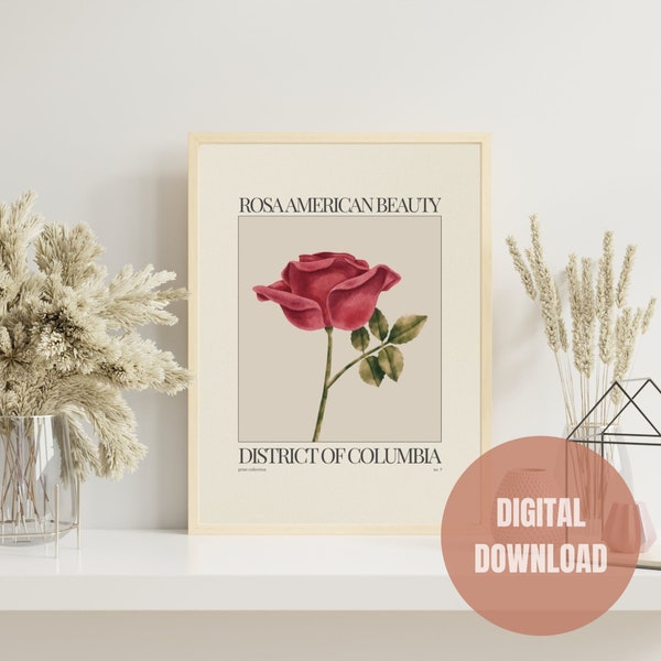 DC State Flower Digital Print, DC American Beauty Rose Poster, Neutral Wall Art, Boho Home Decor, Botanical Print, Watercolor Floral Print