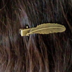 Clip Bronze Feather image 4