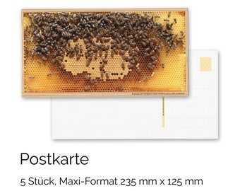 Postkarten Motiv Bienen-Brutwabe hell (5 Stück)