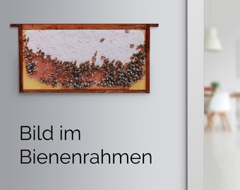 Bienenwaben-Bild: Honigwabe voll, Rahmen shabby