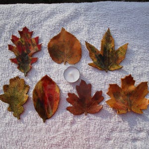 Puede incluir: Vista cenital de siete hojas decorativas en colores otoñales, incluyendo rojo, naranja y amarillo. Una pequeña vela blanca se encuentra en el centro. Las hojas están dispuestas sobre una superficie blanca y texturizada.