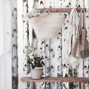 White Birch Tree Forest Wallpaper Mural, Scandinavian Wallpaper Nature, Scenery Wallpaper Modern, Woodland Nursery Wallpaper Peel and Stick