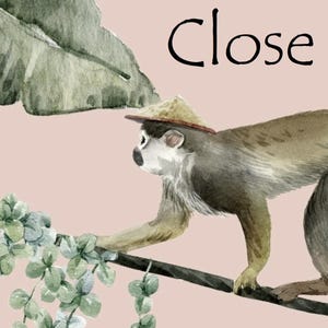 May include: A watercolor illustration on a pale pink background featuring a monkey wearing a small straw hat, walking along a branch. Large green tropical leaves frame the scene, and the text Close up is printed in black at the top.
