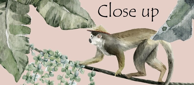 May include: A watercolor illustration on a pale pink background featuring a monkey wearing a small straw hat, walking along a branch. Large green tropical leaves frame the scene, and the text Close up is printed in black at the top.
