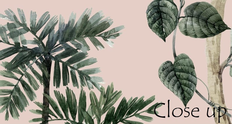 May include: A watercolor illustration on a pale pink background featuring a dark green palm tree on the left and a climbing vine with heart-shaped leaves on the right. The text "Close up" is printed in black in the bottom right corner.