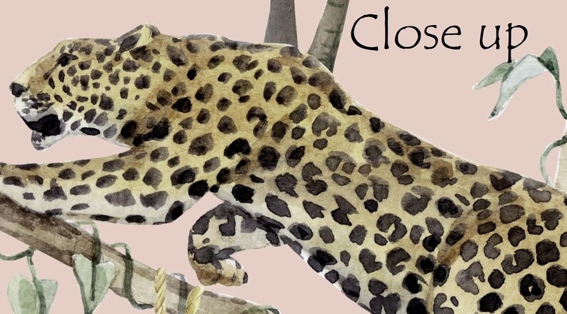 May include: A watercolor illustration of a leopard with black spots on a tan coat, positioned on a brown tree branch against a light pink background. The text Close up is printed in black in the upper right corner of the image.