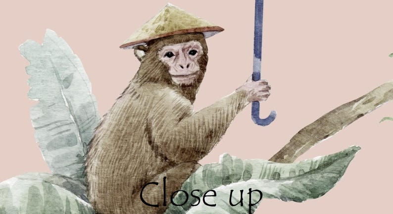 May include: A watercolor illustration of a brown monkey wearing a tan conical hat, holding a blue umbrella handle while sitting among large green leaves. The text "Close up" is written in black at the bottom of the image.