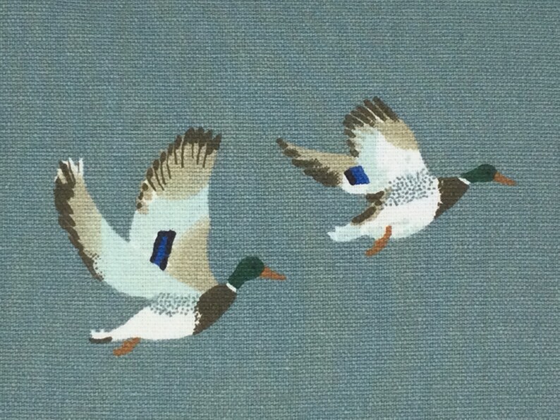 May include: Two mallard ducks in flight against a blue background. The ducks are flying with their wings spread and their heads turned to the side. The background is a light blue color.