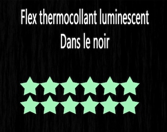 Flex thermocollant luminescent étoile lot de 12