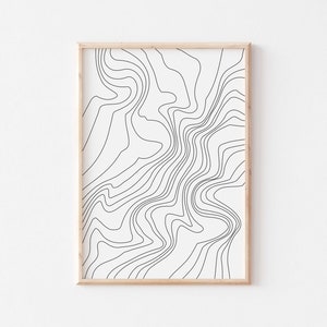 Może przedstawiać: Czarno-biały abstrakcyjny wydruk liniowy w jasnej drewnianej ramie. Wydruk przedstawia wirujący, organiczny wzór linii.