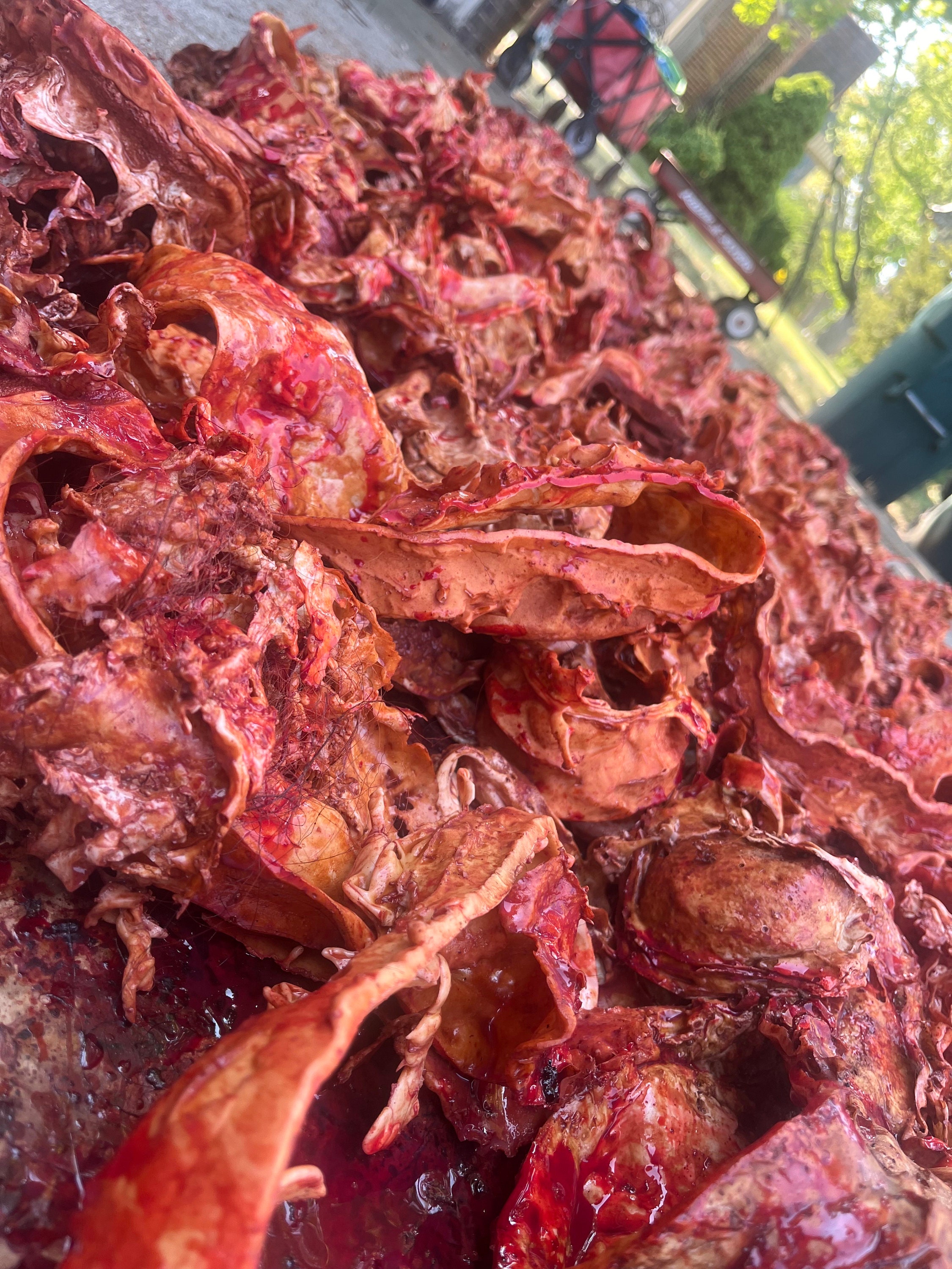 7lbs meaty  Flesh /Skin  Halloween Flesh of the Dead  Laytex props.. ,HALLOWEEN Prop, costume, more!