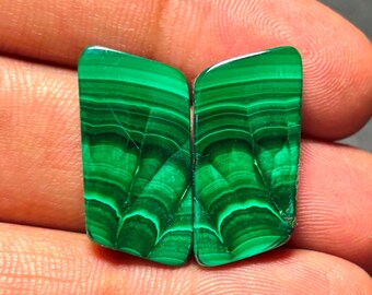 Edelstein Paar: Grüne Malachit Cabochons für Ohrringe (12x23x4mm) #12859