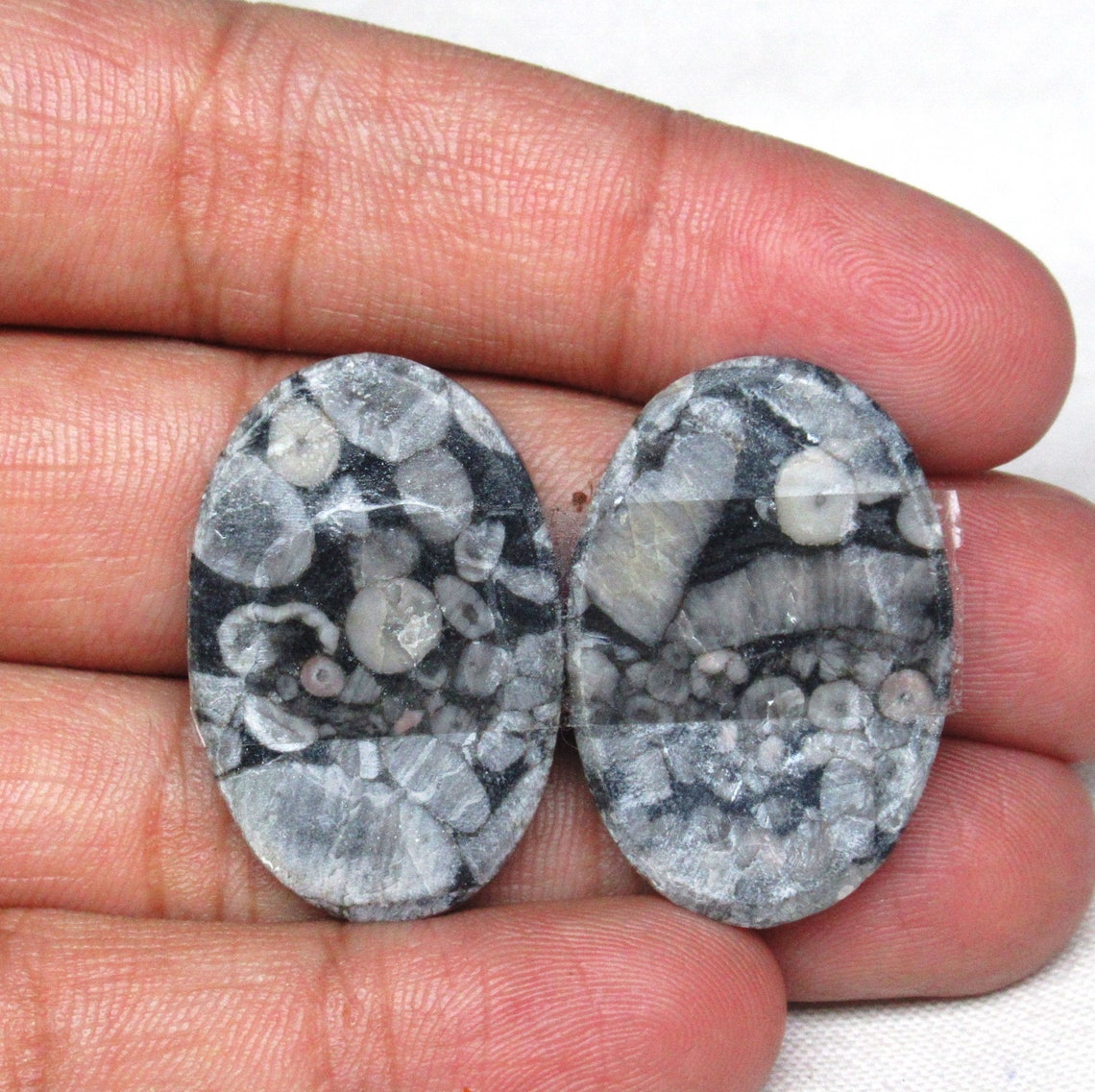 Fossil Shell Jasper Gemstone Fossil Shell Jasper Cabochon Etsy