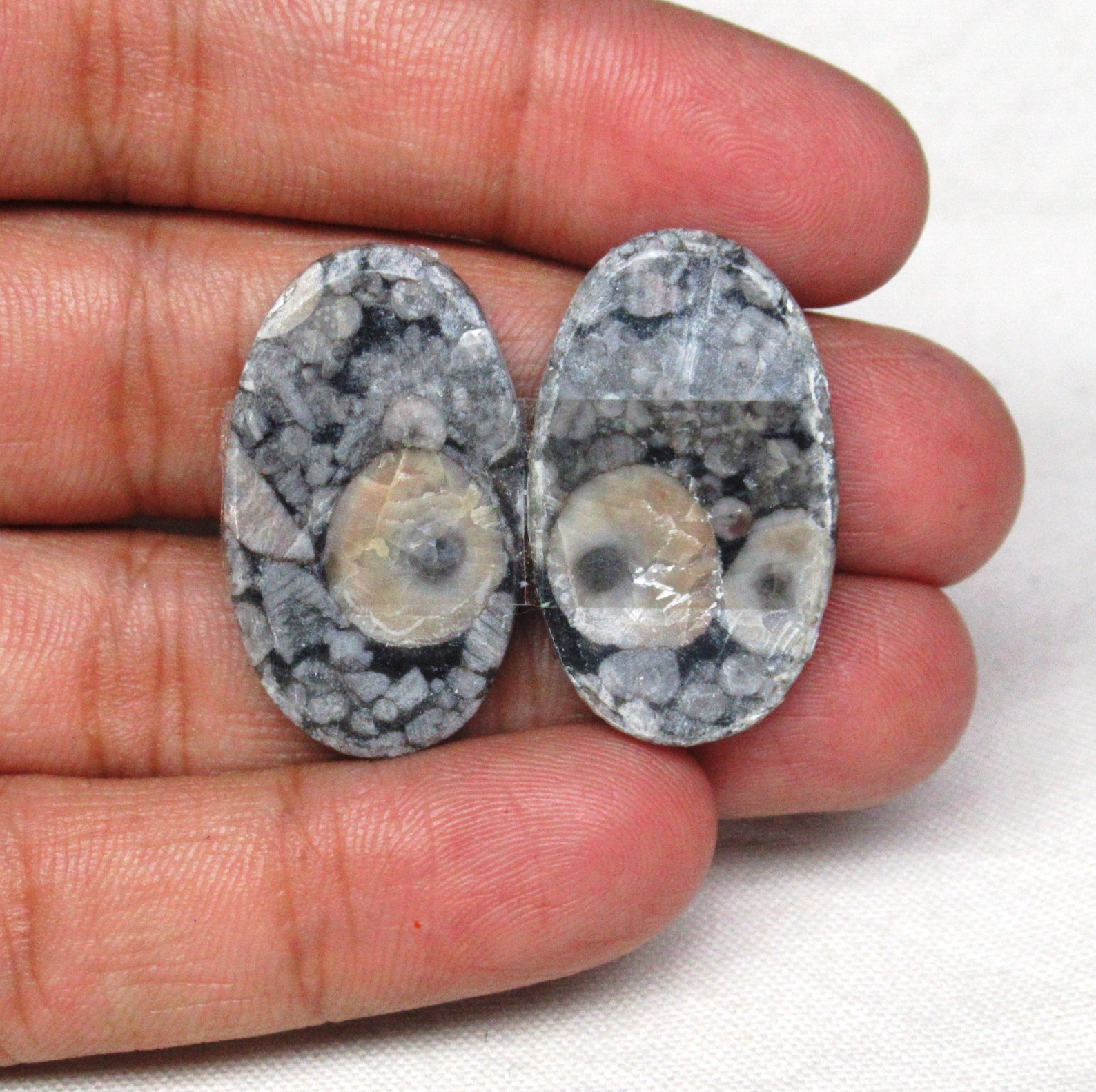 Fossil Shell Jasper Gemstone Fossil Shell Jasper Cabochon Etsy