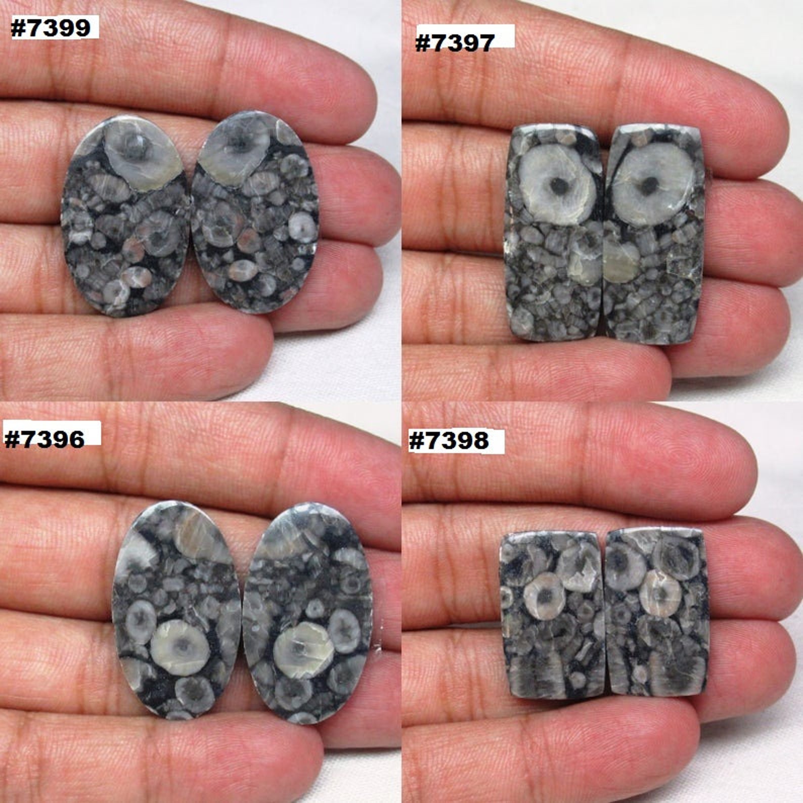 Fossil Shell Jasper Gemstone Fossil Shell Jasper Cabochon Etsy