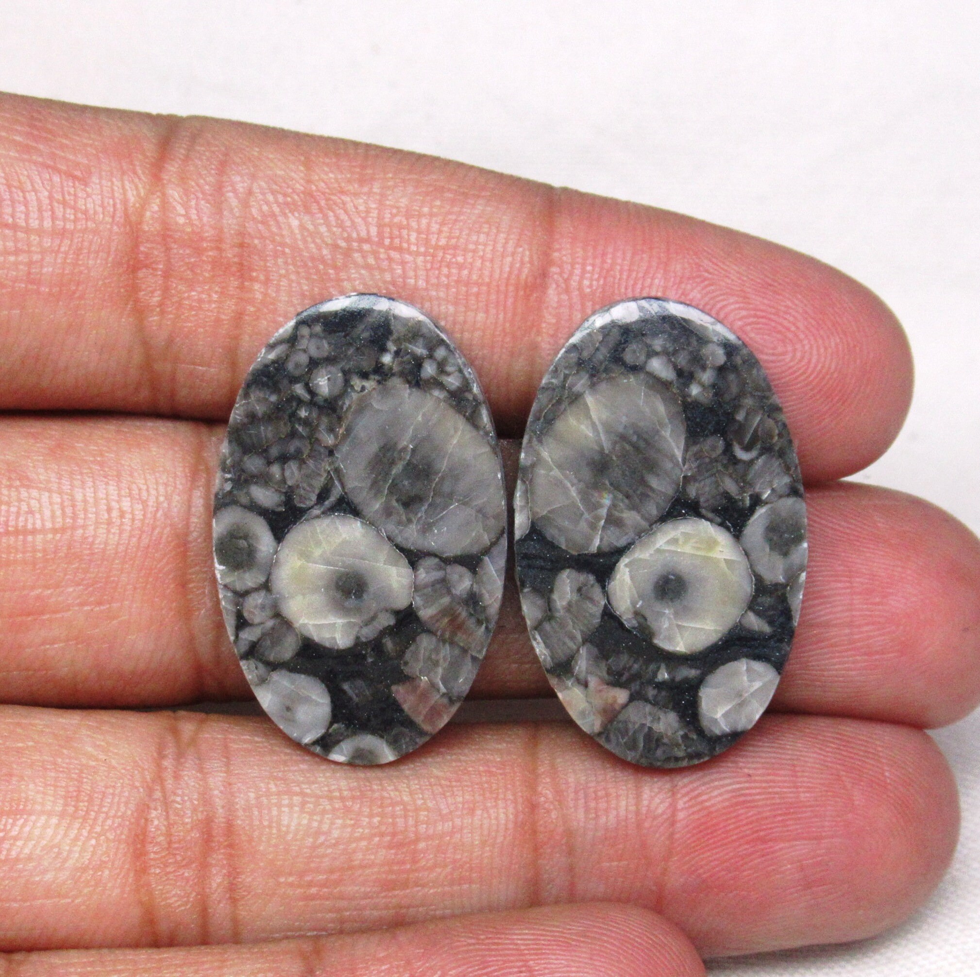 Fossil Shell Jasper Gemstone Fossil Shell Jasper Cabochon Etsy