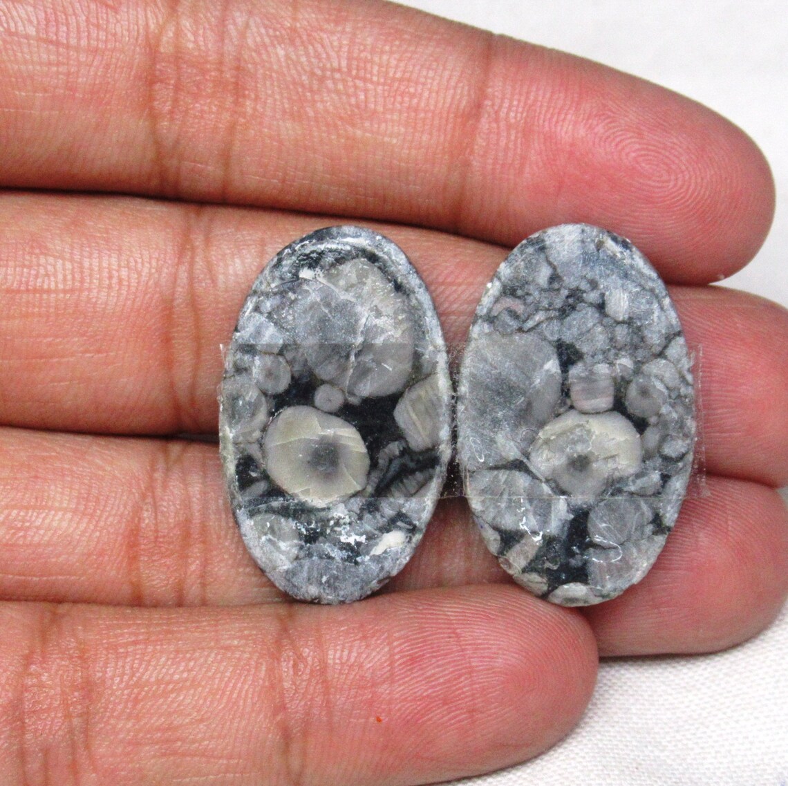 Fossil Shell Jasper Gemstone Fossil Shell Jasper Cabochon Etsy