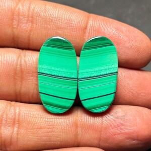 Malachit Paar Edelstein Cabochon Grün Malachit Semi Prcious für Schmuck machen Natürliche Malachit Edelstein Ohrring Stein #13164