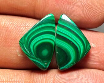 Malachite Pair Gemstone Cabochon Earring Stone Size 12x19x4 mm #13180