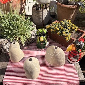 saatgut manufaktur Blumensamen 