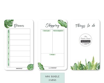 DINNER/SHOPPING/TO do monstera