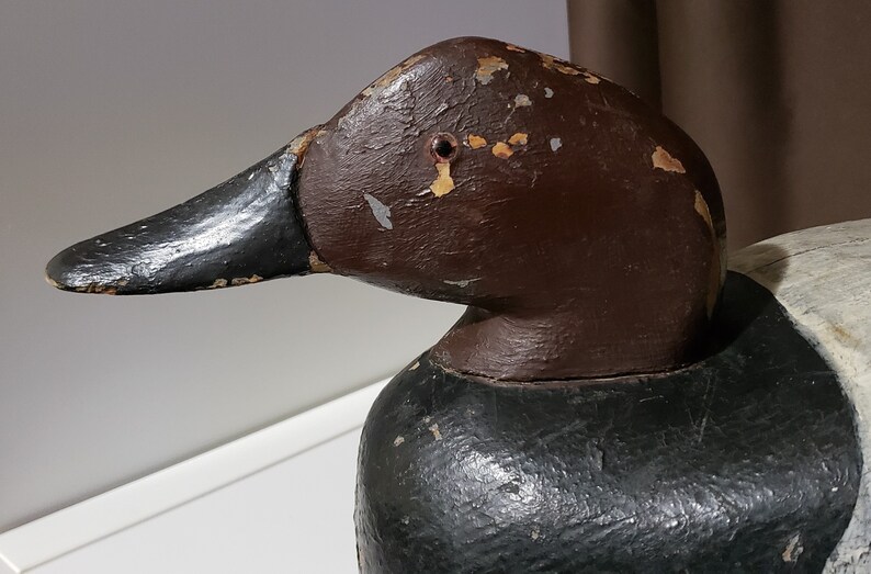 Stunning Antique 20 Canvasback decoy duck Etsy