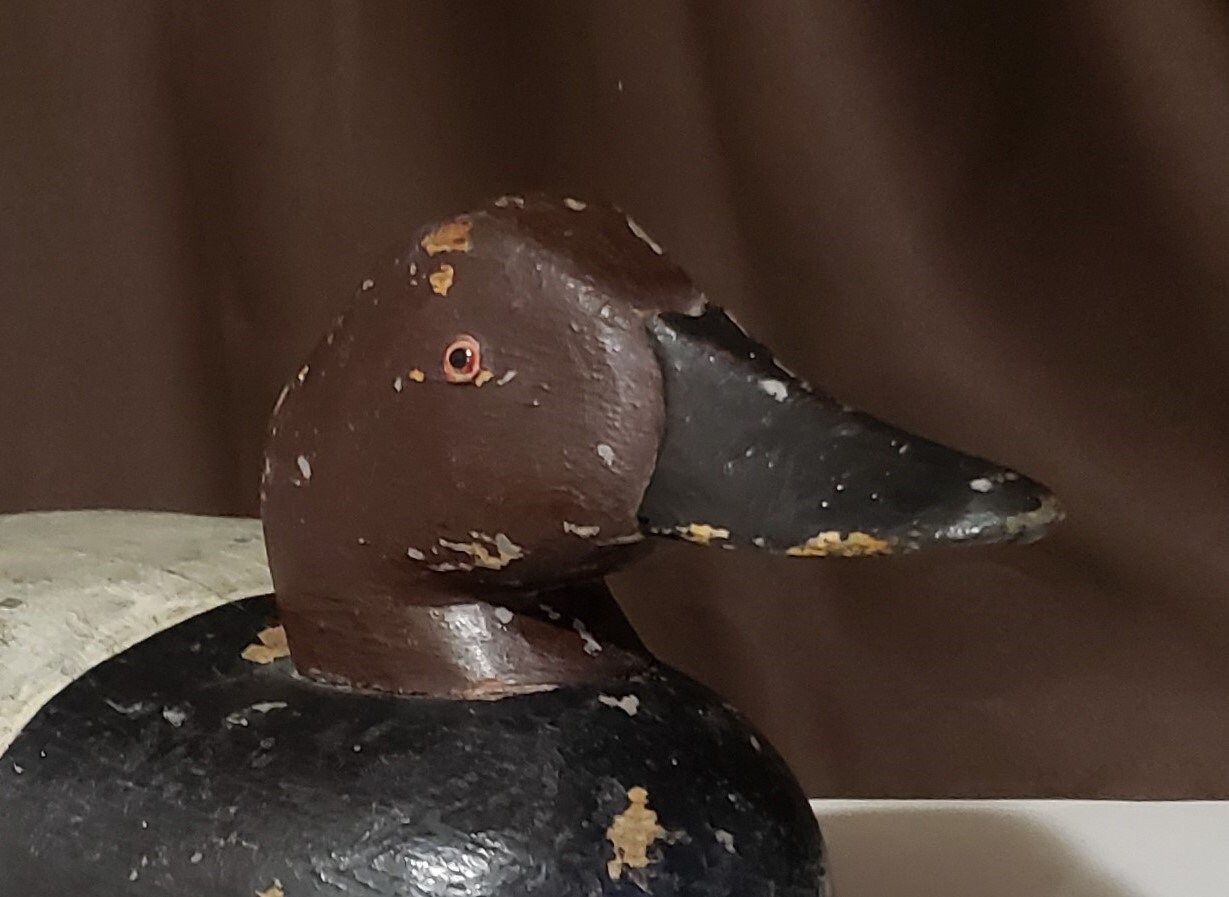 Stunning Antique 20 Canvasback decoy duck Etsy