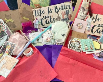 letterbox cat gift, cat mystery box,