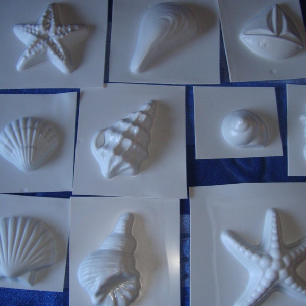 Shells mould,10 casting moulds Maritime, for soap, plaster, concrete and more