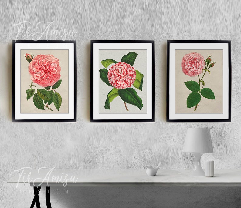 Vintage Art Digital Prints Vintage Roses Illustrations Printable Vintage Pink Roses Set of 3 set-4 Printable Wall Art